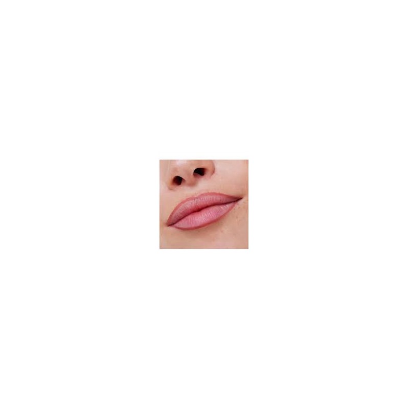 Crayon à lèvres 8h matte comfort lip liner essence