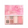 Palette Yeux & Joues Blossom Glow Catrice