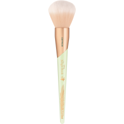 Pinceau Poudre Disney The...