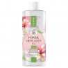 EAU MICELLAIRE A L'EAU DE ROSE 400 ML LIRENE