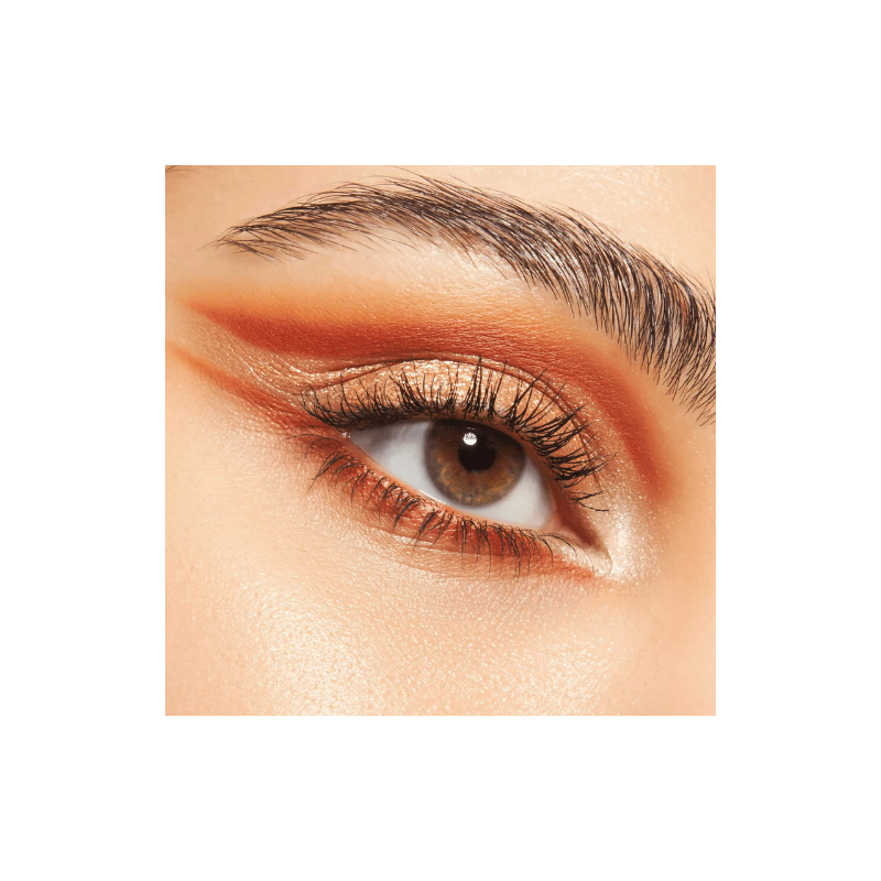 PALETTE FARD A PAUPIERES SAFARI FEVER SLIM 010 CATRICE