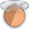 POUDRE ALL MATT PLUS SHINE CATRICE 031