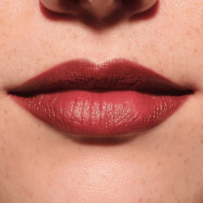 ROUGE A LEVRES ET CRAYON MATTE LIP ARTIST CATRICE