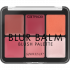 PALETTE DE FARDS A JOUES BLUR BLAM 010 CATRICE