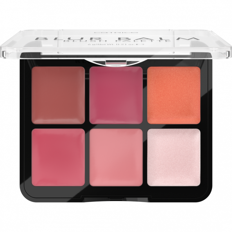 PALETTE DE FARDS A JOUES BLUR BLAM 010 CATRICE