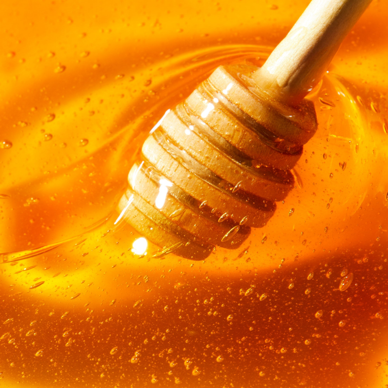 NUXE REVE DE MIEL Soin Lèvres au Miel 10ml - Lèvres Desséchées