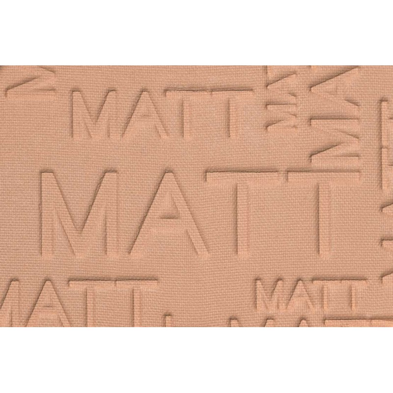 Poudre Catrice All Matt Plus Shine Control