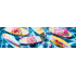 Essence ALOHA, BABES! – Édition Limitée